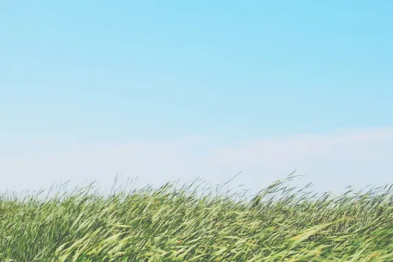 Casino Ted Bingo Kundeservice